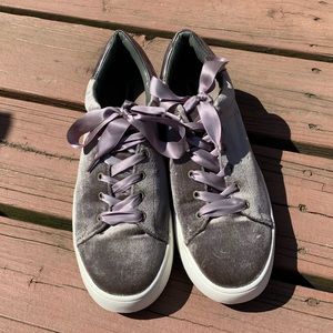 Steven by Steve Madden Bogart Taupe velvet sneaker